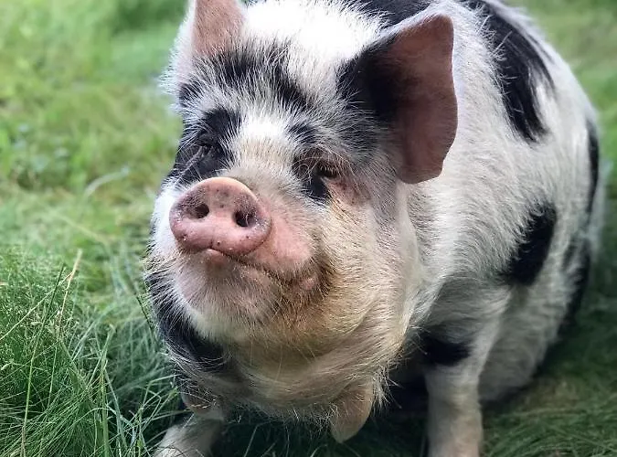 Lubblerhof 费马恩